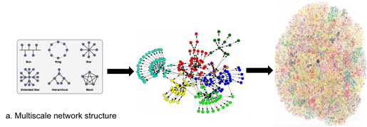 Algunos tipos básicos de patrones de conexión entre las neuronas y grupos de neuronas formando una red compleja.