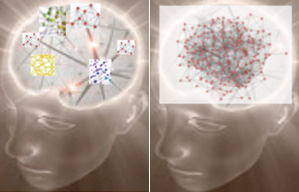 Vector EEG