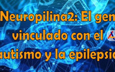 Neuropilina2 El gen vinculado con el autismo y la epilepsia